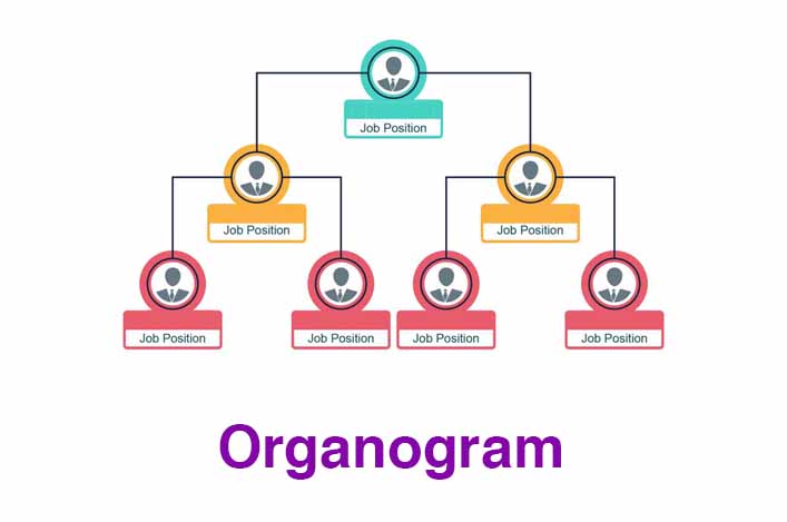 How To Create A Proper Organogram